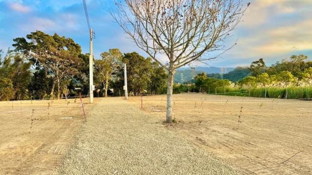 峨眉農地-2
