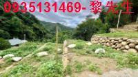 新竹芎林農地-5