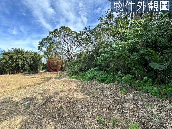 新竹竹東農地-2