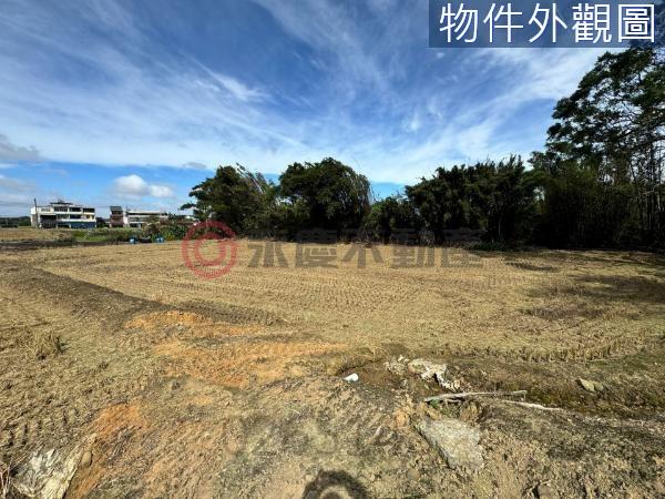 新竹竹東農地-6