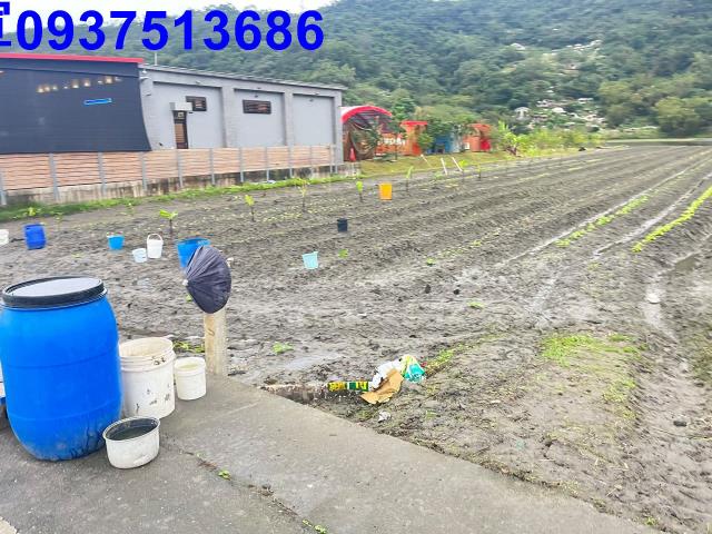 三星農地-1