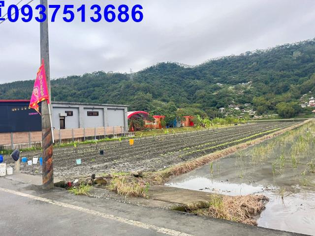 三星農地-4