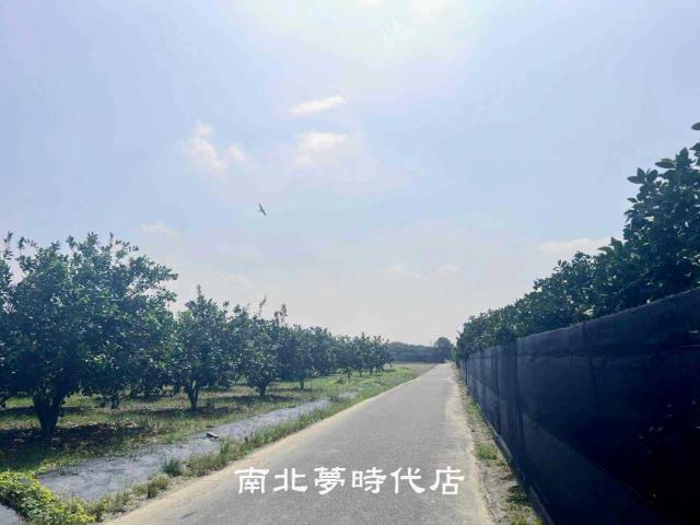 麻豆農地-4