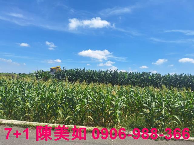 高雄大寮農地-1