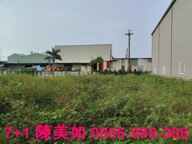 大社農地-1