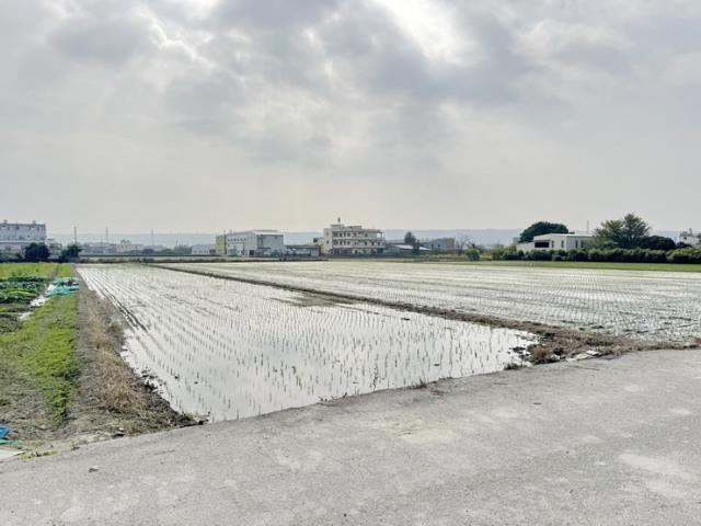 芬園農地-1