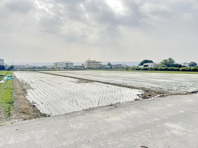 芬園農地-2
