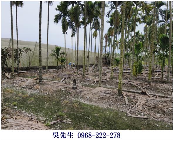 屏東高樹農地-9