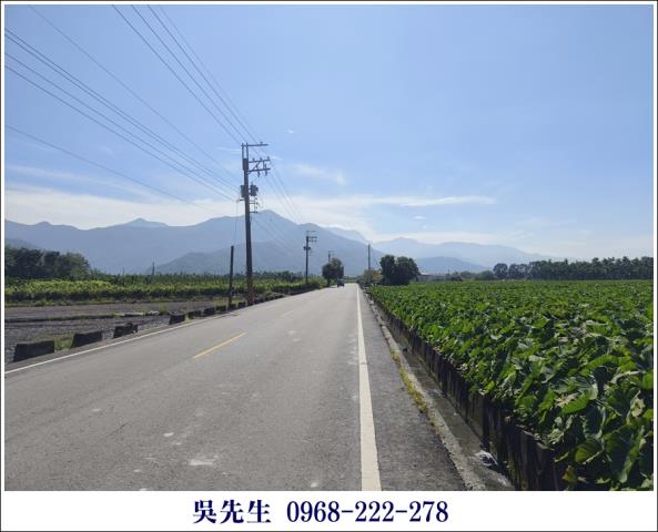 屏東高樹農地-4