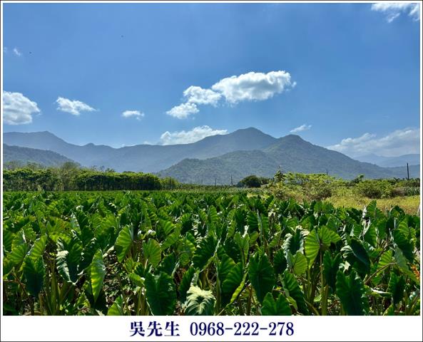 屏東高樹農地-10