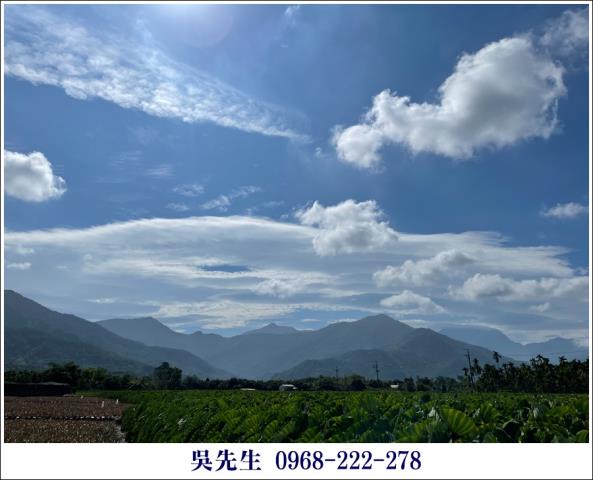 屏東高樹農地-2