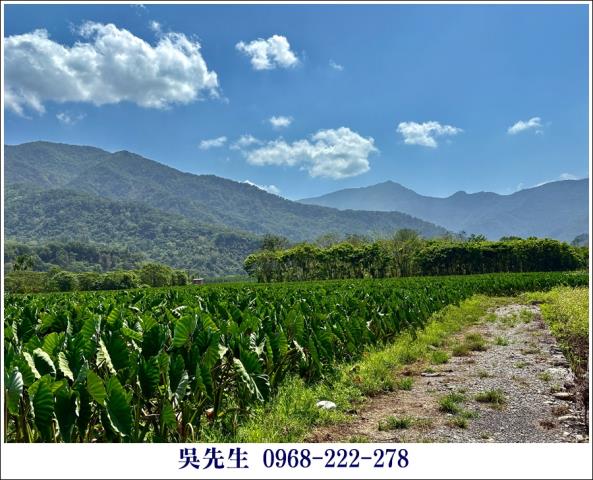 屏東高樹農地-3