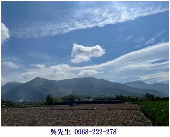 屏東高樹農地-4