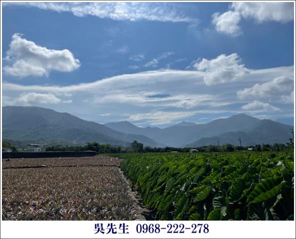 屏東高樹農地-5