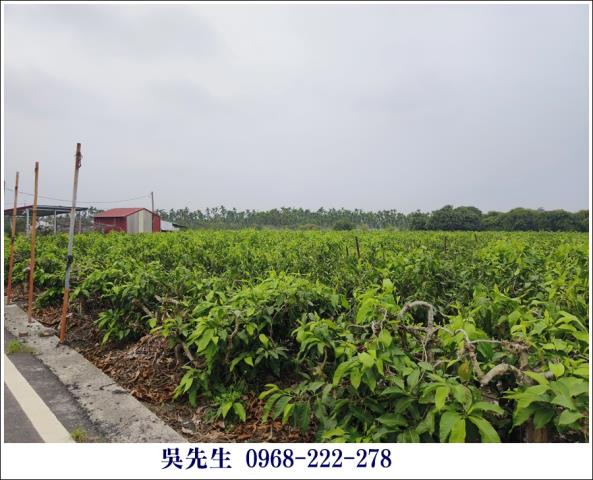 屏東高樹農地-7