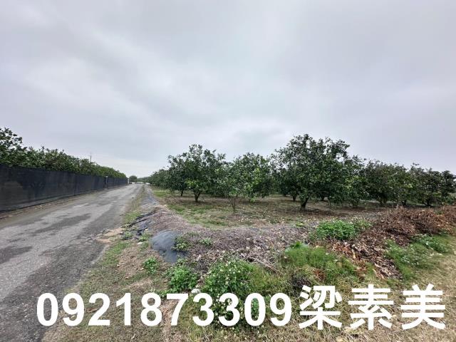 麻豆農地-5