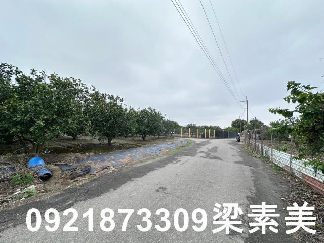 麻豆農地-6