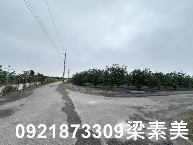 麻豆農地-8