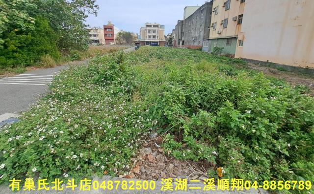 線西建地-6