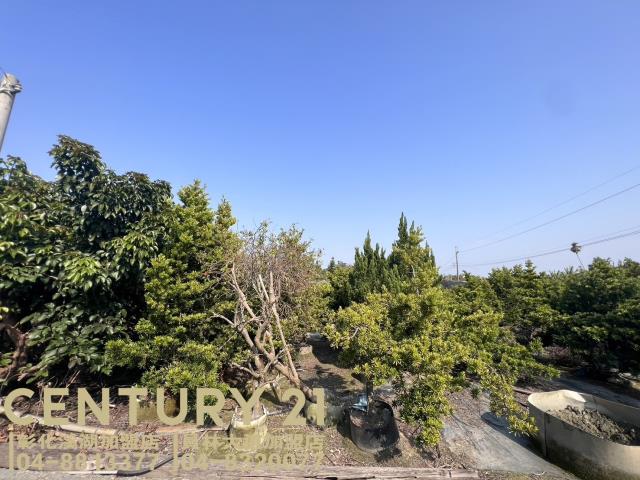 彰化永靖農地-1