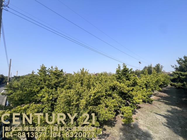 彰化永靖農地-3
