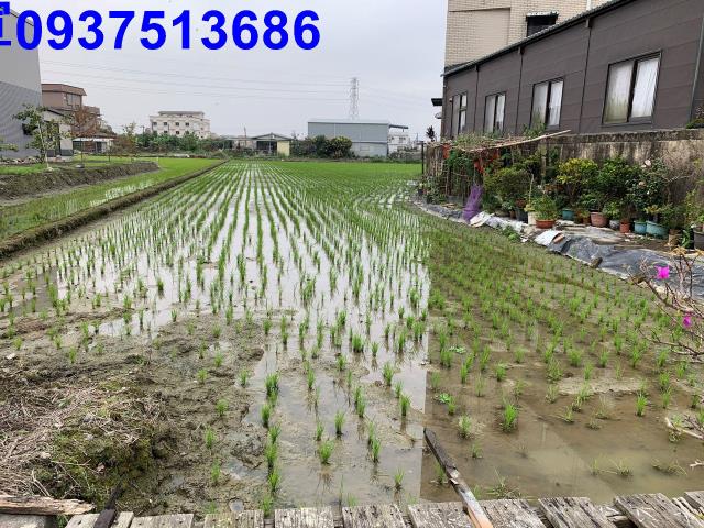 宜蘭冬山農地-10