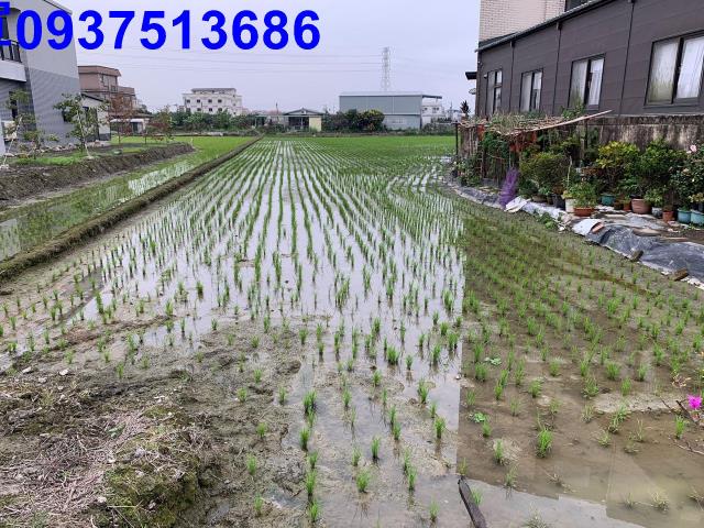 宜蘭冬山農地-5