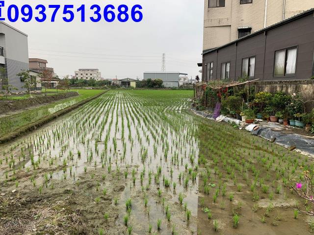 宜蘭冬山農地-8