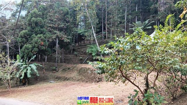 竹東農地-10