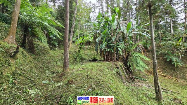 竹東農地-15