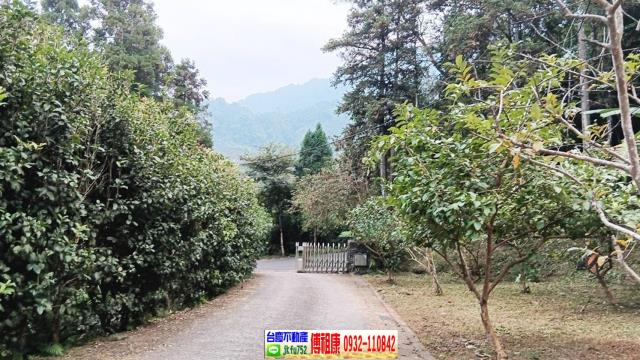 竹東農地-9