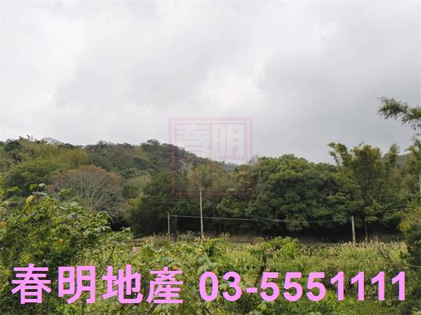 新竹新埔建地-2