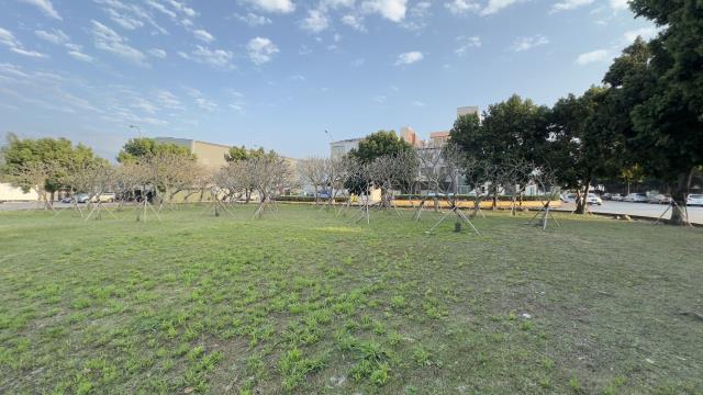 苗栗銅鑼工業地-4