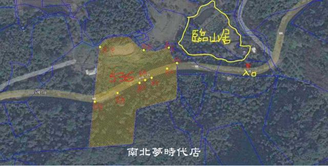 花蓮農地-3