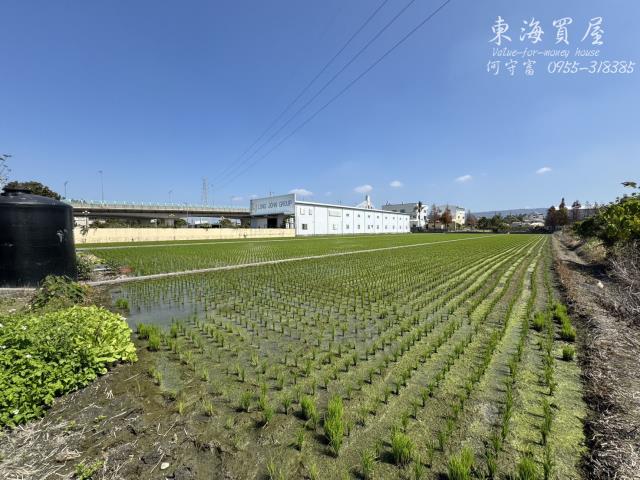 彰化永靖農地-10