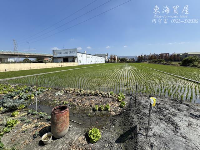 彰化永靖農地-12