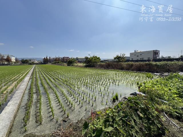 彰化永靖農地-1