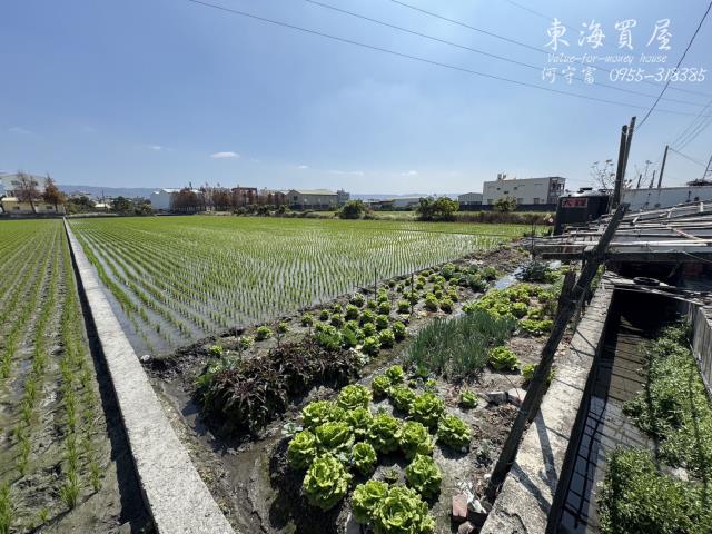 彰化永靖農地-4