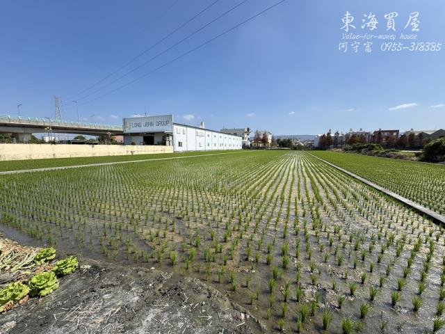 彰化永靖農地-6