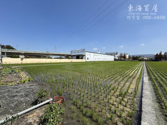 彰化永靖農地-8
