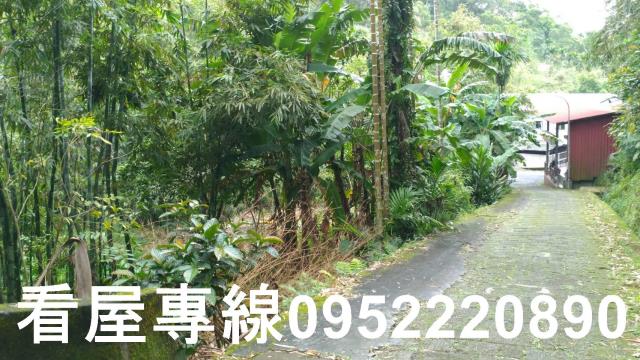 中和農地-10
