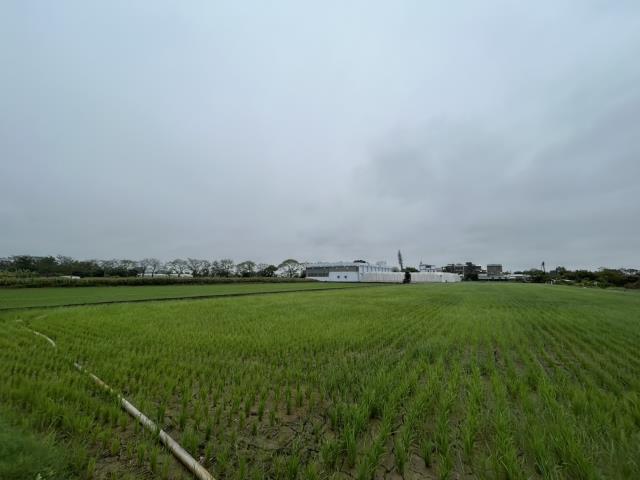 嘉義水上農地-1