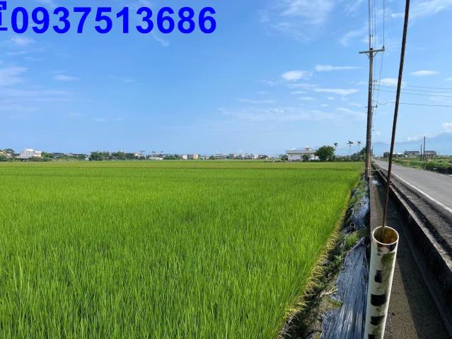 宜蘭壯圍農地-15
