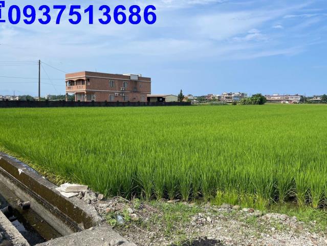 宜蘭壯圍農地-1