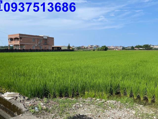 宜蘭壯圍農地-2