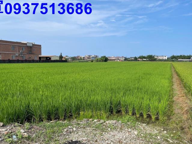 宜蘭壯圍農地-3