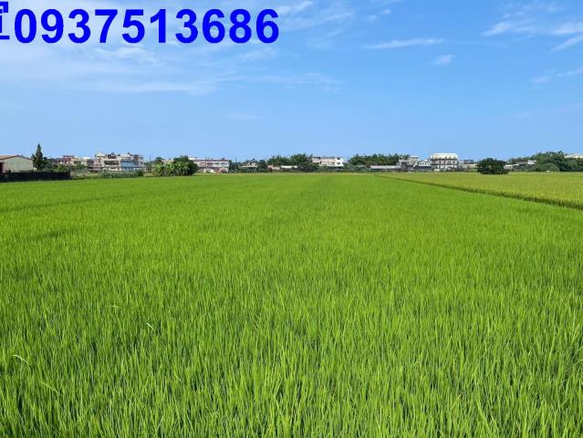 宜蘭壯圍農地-5