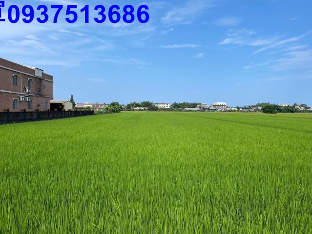 宜蘭壯圍農地-9