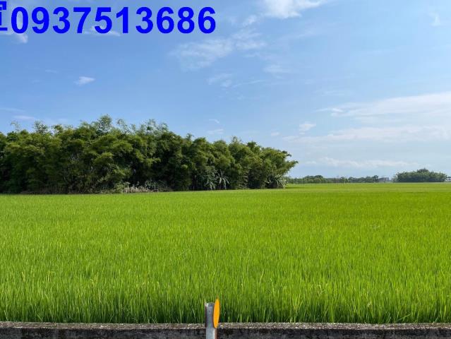 宜蘭礁溪農地-2
