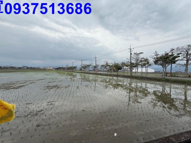 宜蘭壯圍農地-15
